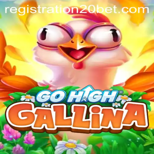 Exploring the Exciting World of GoHighGallina: A Game of Strategy and Chance